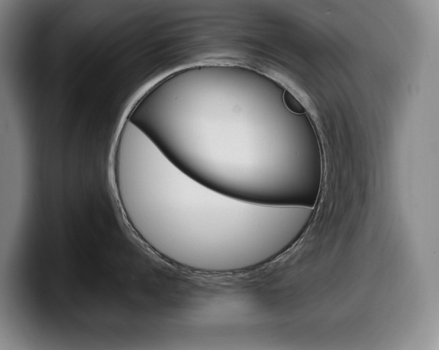 X0000100340960200806051222
