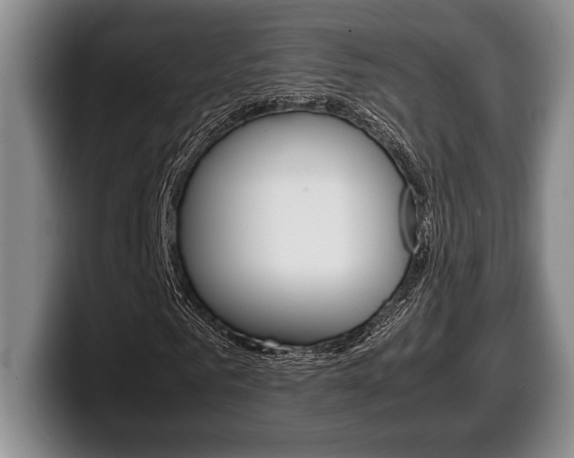 X0000100340961200806051221