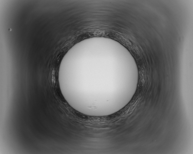 X0000100340962200806051221