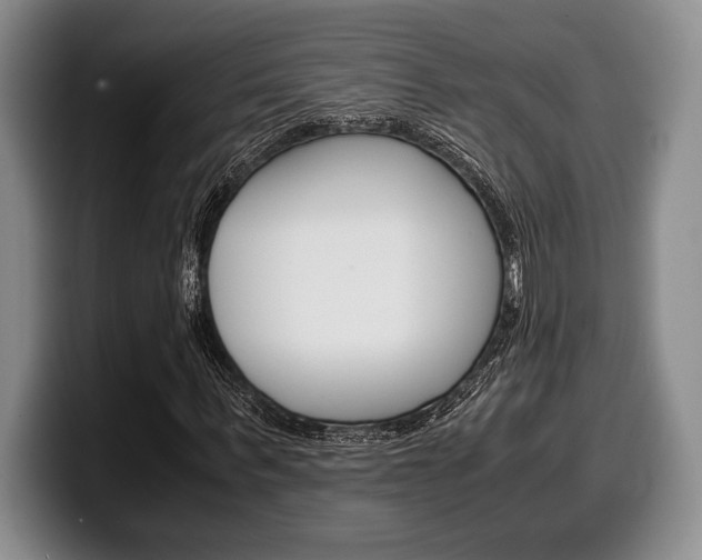 X0000100340963200806051221