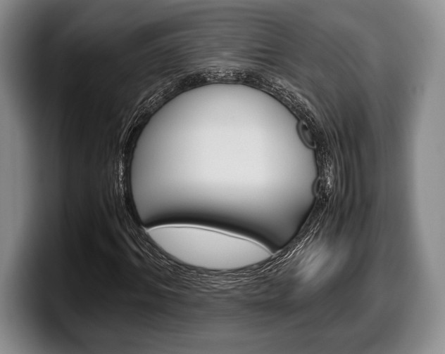 X0000100340964200806051221