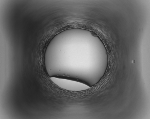 X0000100340965200806051221