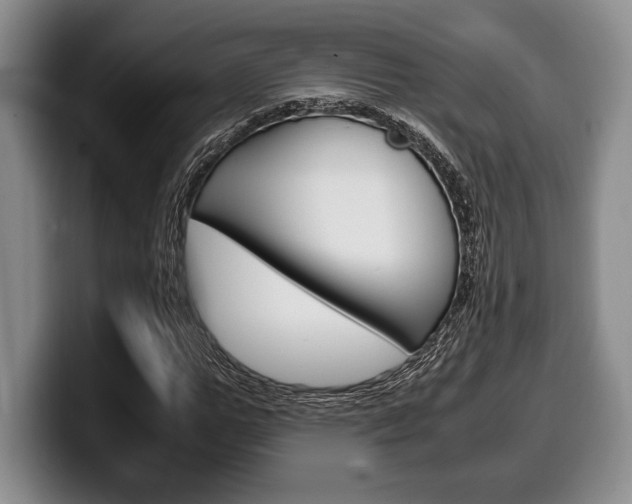 X0000100340967200806051221