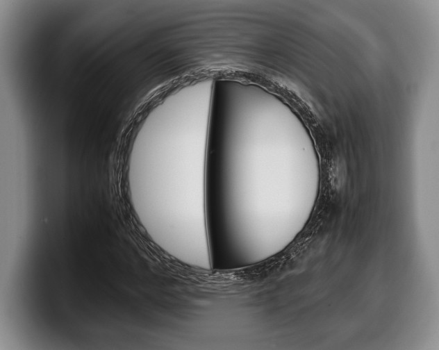X0000100340968200806051221