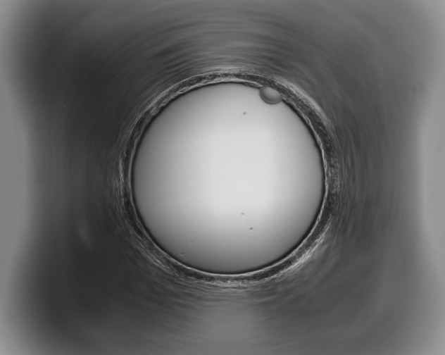 X0000100340969200806051221