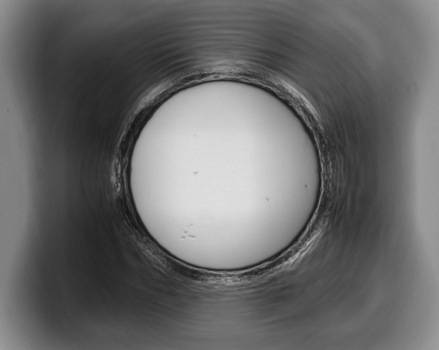 X0000100340970200806051221