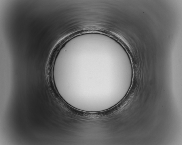 X0000100340971200806051221
