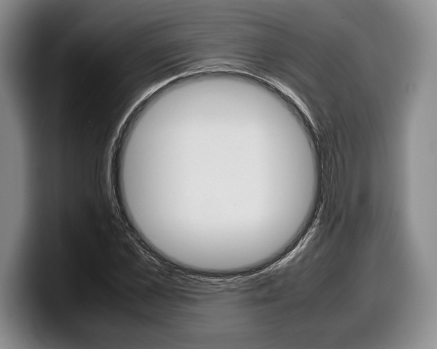 X0000100340973200806051221