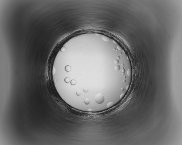 X0000100340974200806051221