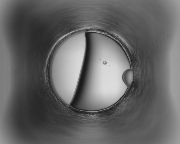 X0000100340975200806051221