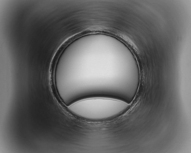 X0000100340976200806051221