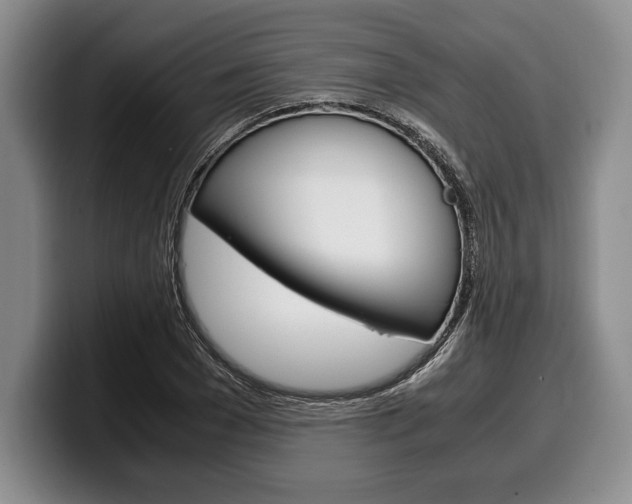 X0000100340977200806051221
