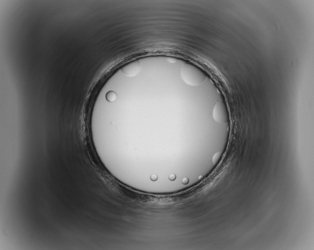X0000100340978200806051221