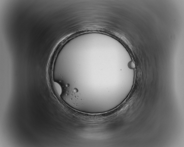 X0000100340979200806051221
