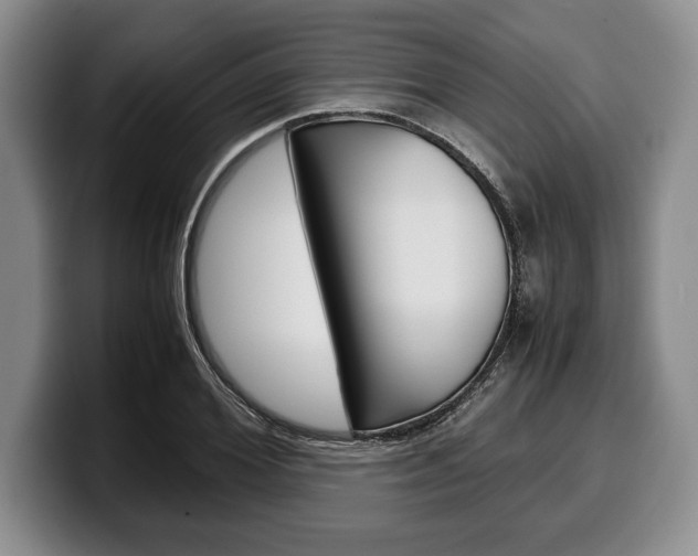 X0000100340980200806051221