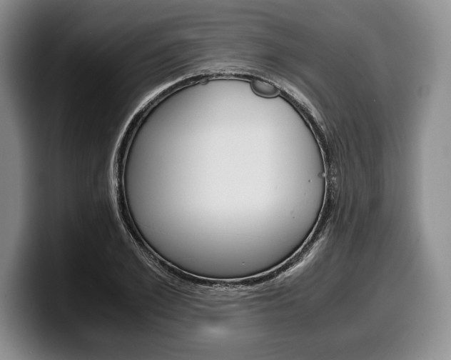 X0000100340981200806051221