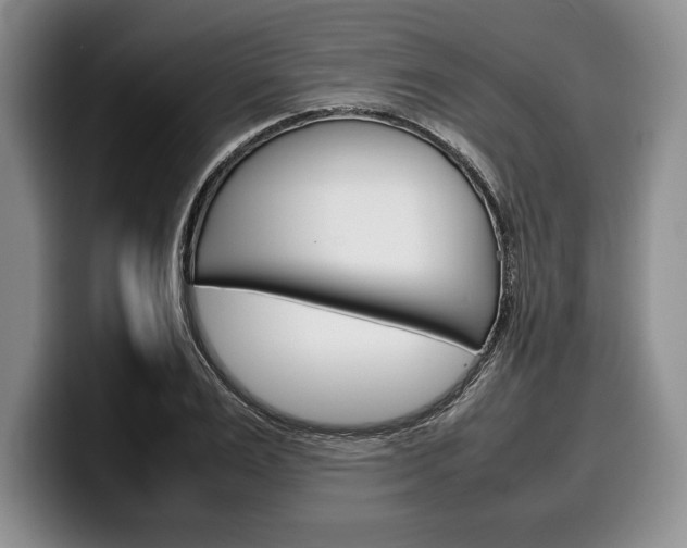 X0000100340983200806051221