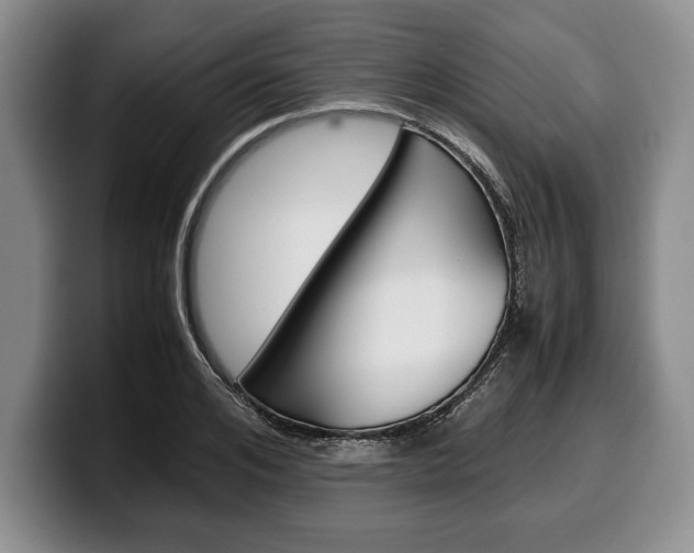 X0000100340984200806051221