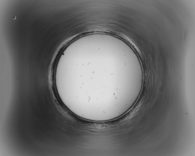X0000100340987200806051221