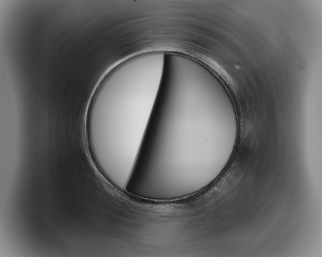 X0000100340988200806051221
