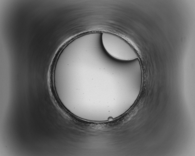 X0000100340991200806051221