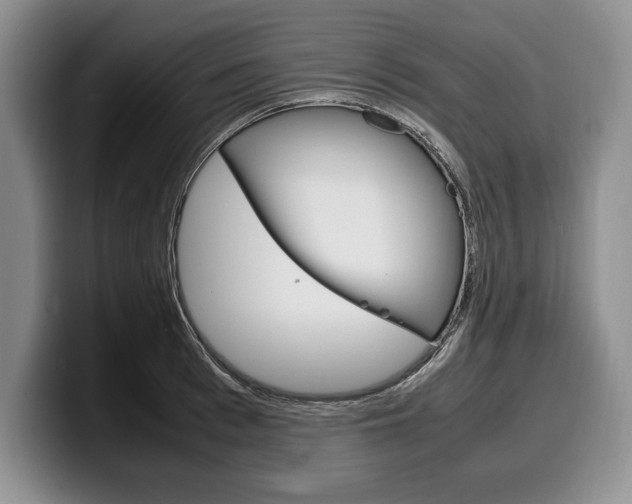 X0000100340993200806051221
