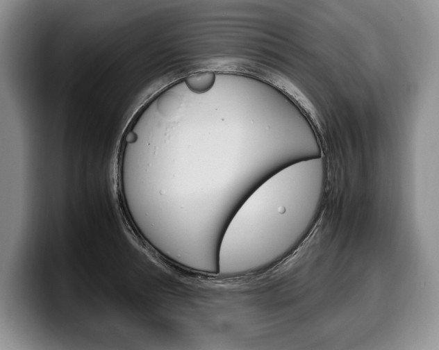 X0000100340994200806051221