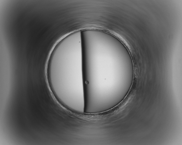 X0000100340995200806051221