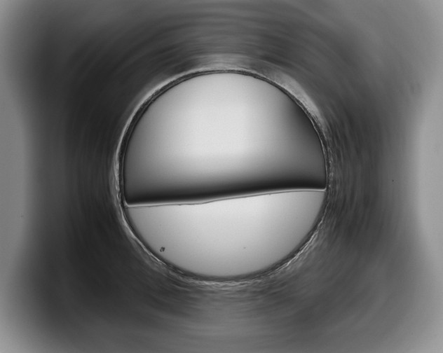 X0000100340996200806051221