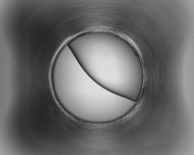 X0000100340997200806051221