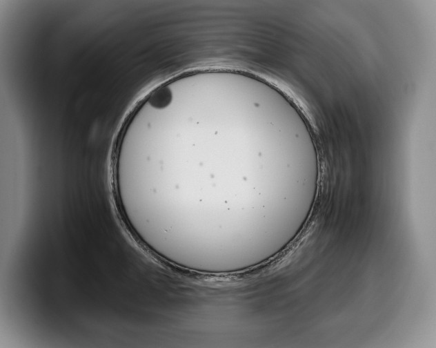 X0000100340998200806051221
