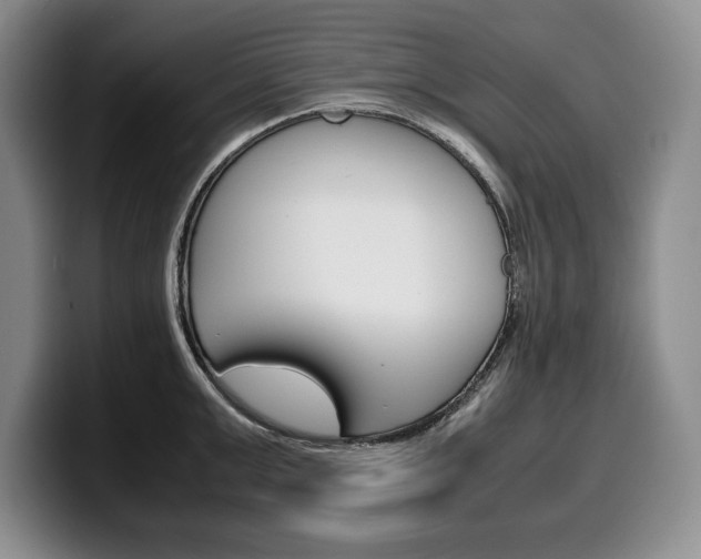 X0000100340999200806051221