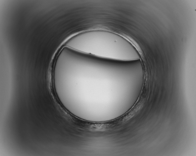 X0000100341000200806051221