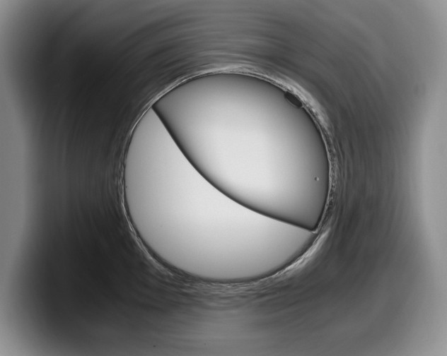 X0000100341001200806051221