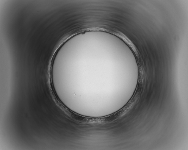 X0000100341002200806051221