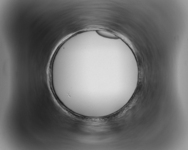 X0000100341003200806051221