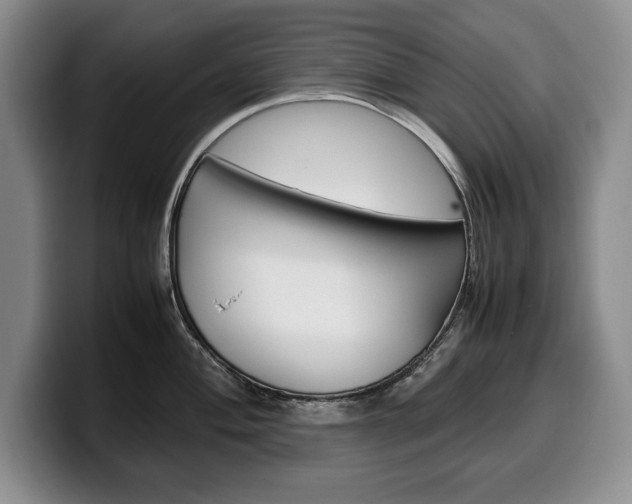 X0000100341004200806051221
