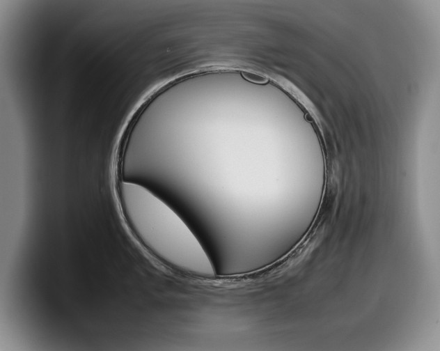 X0000100341005200806051221