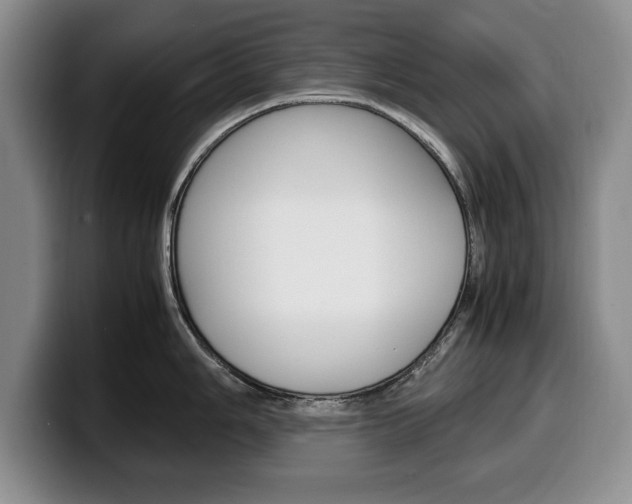 X0000100341006200806051221
