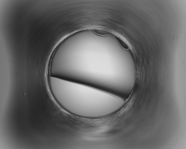 X0000100341007200806051221
