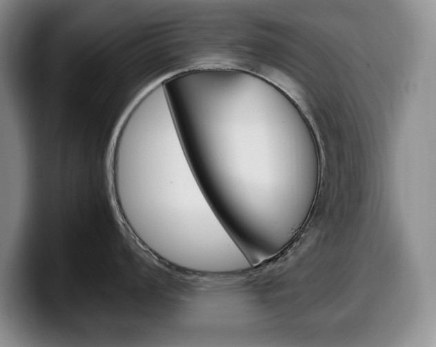 X0000100341008200806051221
