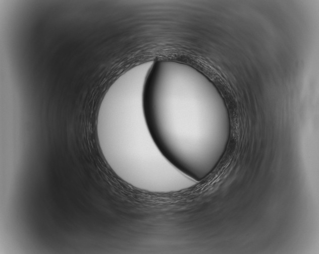 X0000100341010200806051220