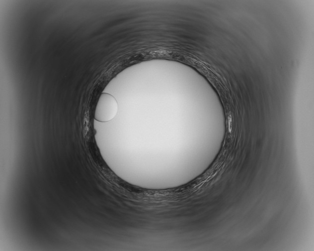 X0000100341011200806051220