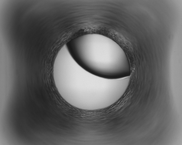 X0000100341012200806051220