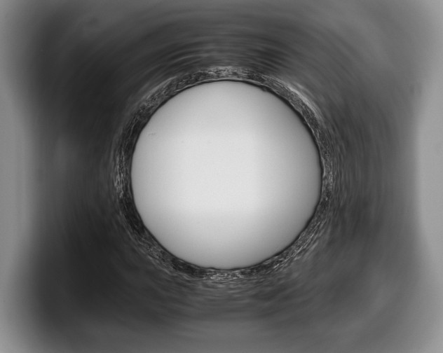 X0000100341015200806051220