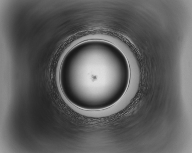 X0000100341016200806051220