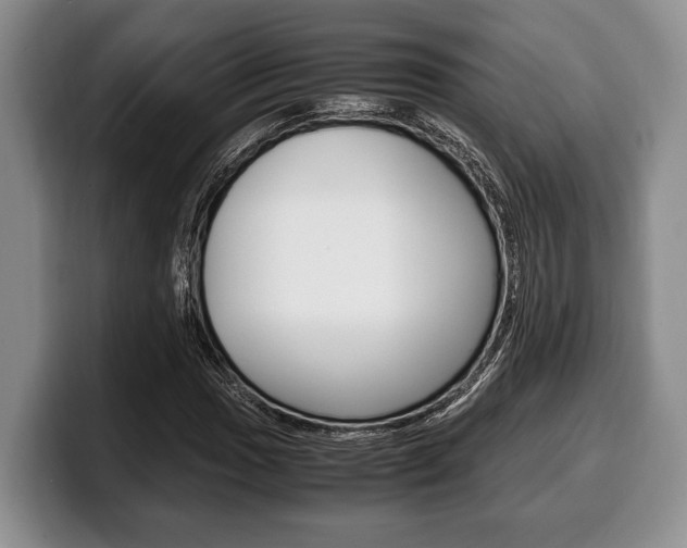 X0000100341017200806051220