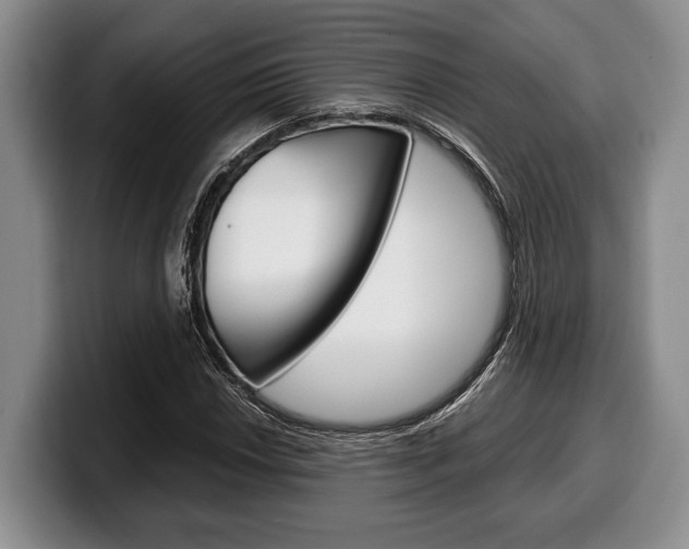 X0000100341018200806051220