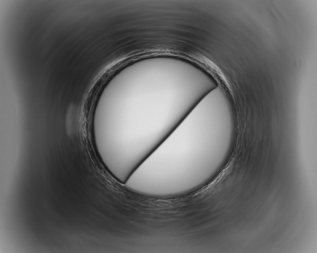 X0000100341019200806051220