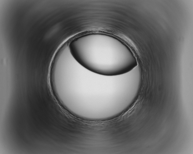 X0000100341020200806051220